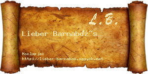 Lieber Barnabás névjegykártya