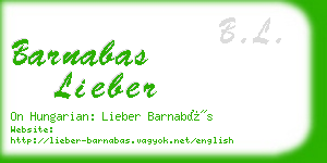 barnabas lieber business card